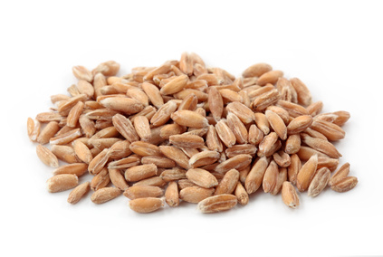 Špaldová káva BIO 100g