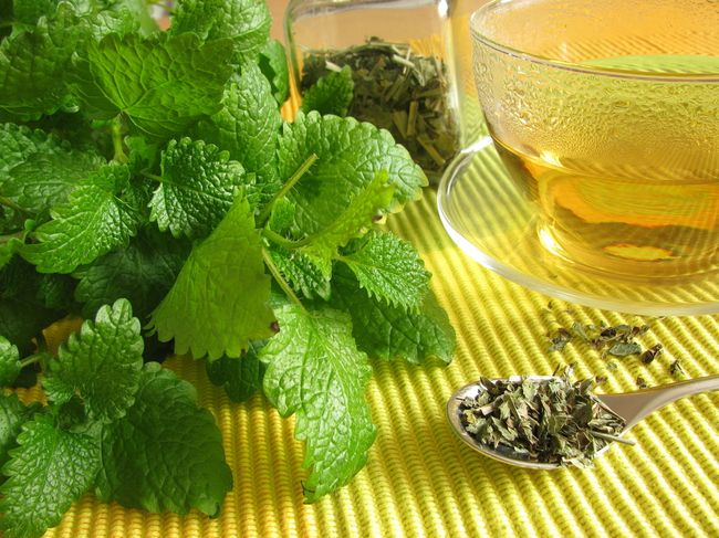 slovensky: Medovka lekárska, latinsky: Melissa officinalis, česky: Meduňka lékařská
 
 V tomto článku o Medovke lekárskej sa dozviete...
